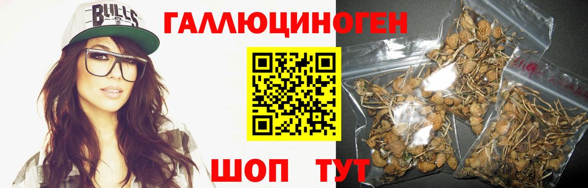 Галлюциногенные грибы Cubensis  Галлюциногенные грибы Cubensis  Осинники  Вход с VPN 
